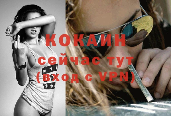 гидропоника Абаза