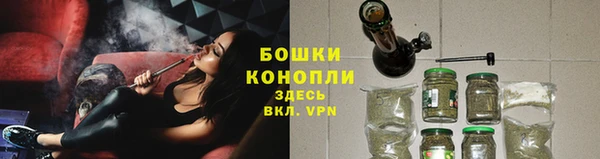 СК Абинск