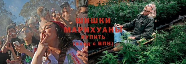 гидропоника Абаза