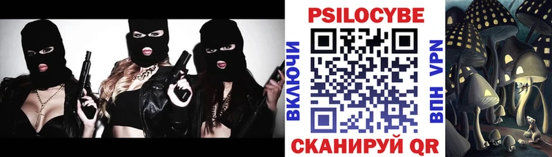 Галлюциногенные грибы Psilocybe  ссылка на мегу зеркало  Александров  купить  