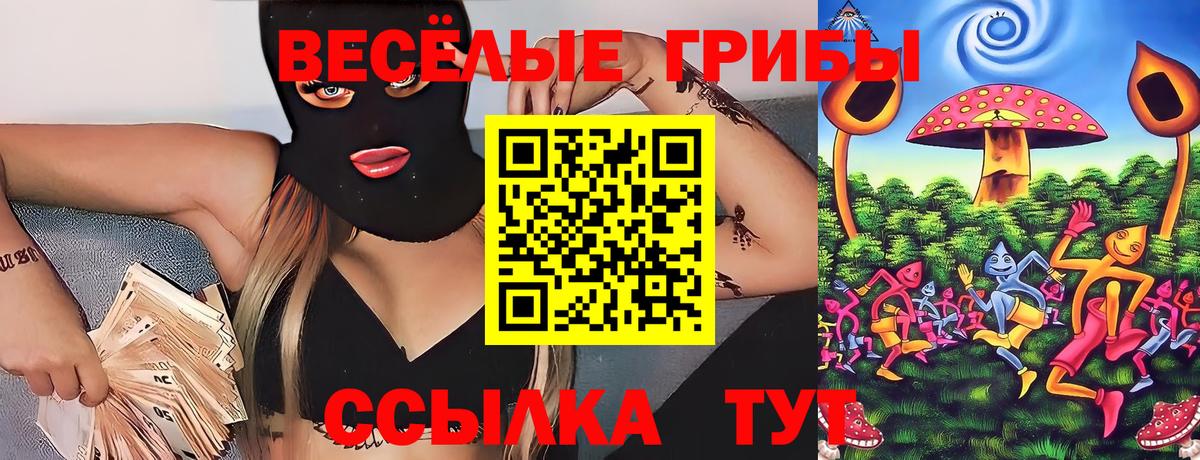 Галлюциногенные грибы ЛСД  Псилоцибиновые грибы GOLDEN TEACHER  Александров  Вход с VPN 